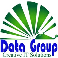 Data Group USA logo - Similar company to Fly Katana