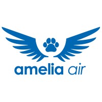 Amelia Air logo - Similar company to Thinkstruct