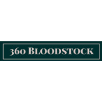360 Bloodstock logo - Similar company to Studio Ver