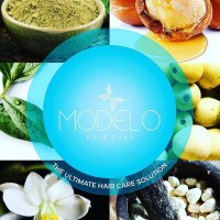 Modelo RSA Pty Ltd logo - Similar company to Lamfort Diş Ti̇caret Sanayi̇ A.Ş.
