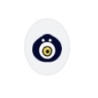 BioRetina logo - Similar company to Codevia