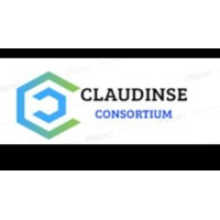 Claudinse Consortium Ltd logo - Similar company to Datagroove Ltd