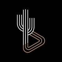 Zona Visuals logo - Similar company to Argent Agency