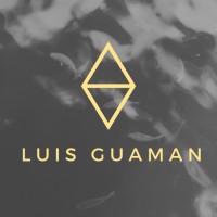 Luis Guaman logo - Similar company to Neerventure Consultancy