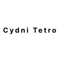 Cydni Tetro logo - Similar company to Generation Distinct