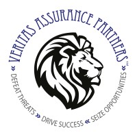 Veritas Assurance Partners logo - Similar company to Saint George Consulting, Inc.