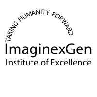 ImagiNexGen Institute of Excellence logo - Similar company to The Apricots Media