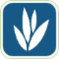 Levant Education Study Abroad