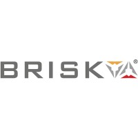 Brisk Elevators logo - Similar company to Infra Elevators India Pvt Ltd
