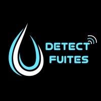 DETECT FUITES logo - Similar company to Aquitaine Intervention