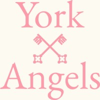 York Angels logo - Similar company to Tech York