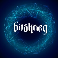 BITSkrieg logo - Similar company to Sellsurge