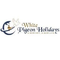 White Pigeon Holidays logo - Similar company to Experion Infotech