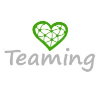 Teaming logo - Similar company to Educafin