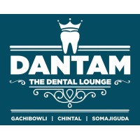 Dantam The Dental Lounge logo - Similar company to Lechnerconsult Medisch Advies