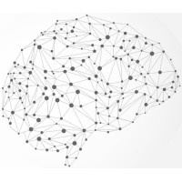 Portable Brain Consultants