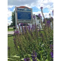 Scene Clean logo - Similar company to Capezio Contractors, Inc.