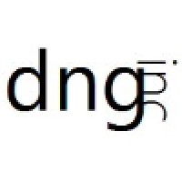 dnginc logo - Similar company to Career Professionals
