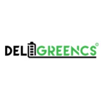 Changsha Deligreen Power Storage logo - Similar company to E-Voltra Solution Private Limited