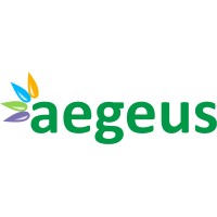 Aegeus Technologies Private Limited logo - Similar company to Aegeus Technologies Ltd