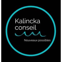Kalincka conseil - Nouveaux possibles logo - Similar company to Aaticka - Levée De Fonds