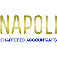 Napoli Chartered Accountants logo - Similar company to Precise Engineering Surveys