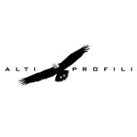 Alti Profili logo - Similar company to Starlabor
