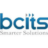 BCITS PVT LTD logo - Similar company to Metromindz