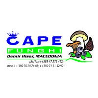 Chape Funghi logo - Similar company to Funghi Gallery