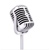The Aussie Voice logo - Similar company to Xrl