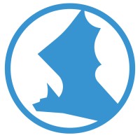 Spyderbat logo - Similar company to Blue Cedar