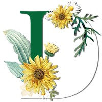 Dubai Flowers logo - Similar company to Mr Flowers Uae