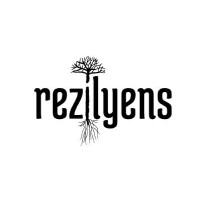 Rezilyens LLC logo - Similar company to Deepsecure