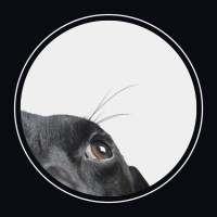 The Native Crowd logo - Similar company to Popcorn Content