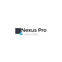 Nexus Pro Consultores logo - Similar company to Nexuspro