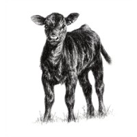Back Forty Farm logo - Similar company to Miles Smith Farm
