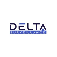 Delta Surveillance logo - Similar company to Timeless Technologies
