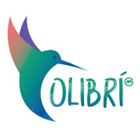 Colibrí Paraguay logo - Similar company to Gm Group Paraguay