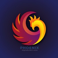 Phoenix Digital Developpement logo - Similar company to Norseman Interactive