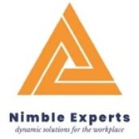 Nimble Experts logo - Similar company to Digital Consultant
