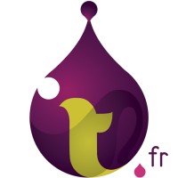 Impression textile.fr logo - Similar company to Alternatee - Impression Textile Personnalisée