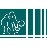 Mammut Soft Computing Ag