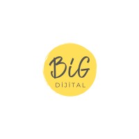 BiG Dijital logo - Similar company to Visiosec