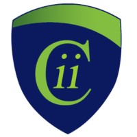 Cooper International Investments Inc. logo - Similar company to Muxur Technologies Inc.