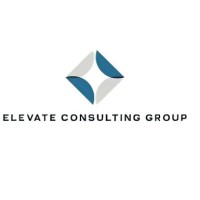 Elevate Consulting Group-ECG logo - Similar company to Lightspeed Digital | Consulting