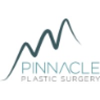 Pinnacle Plastic Surgery logo - Similar company to Exceptional Talent Company