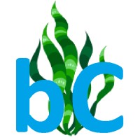 Blue Carbon Services logo - Similar company to Seaweed Solutions