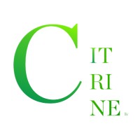 Citrine LLC logo - Similar company to Jg Management Systems (Jgms)