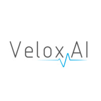 Velox AI logo - Similar company to Arbitronas