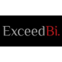 Exceed Business Intelligence logo - Similar company to Data Floss